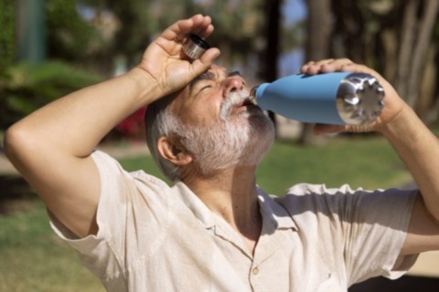 Chaleur et santé